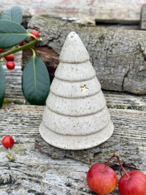 Sapin salière : la sapilière